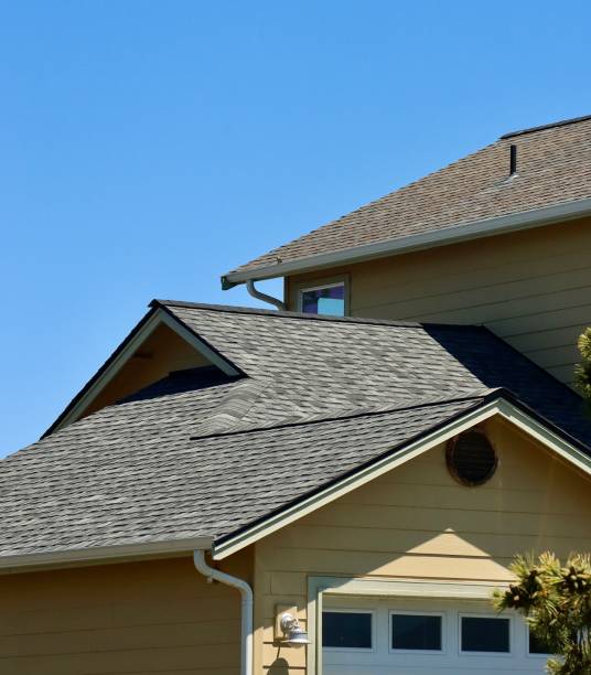 Best Roof Moss and Algae Removal  in Chester, CA